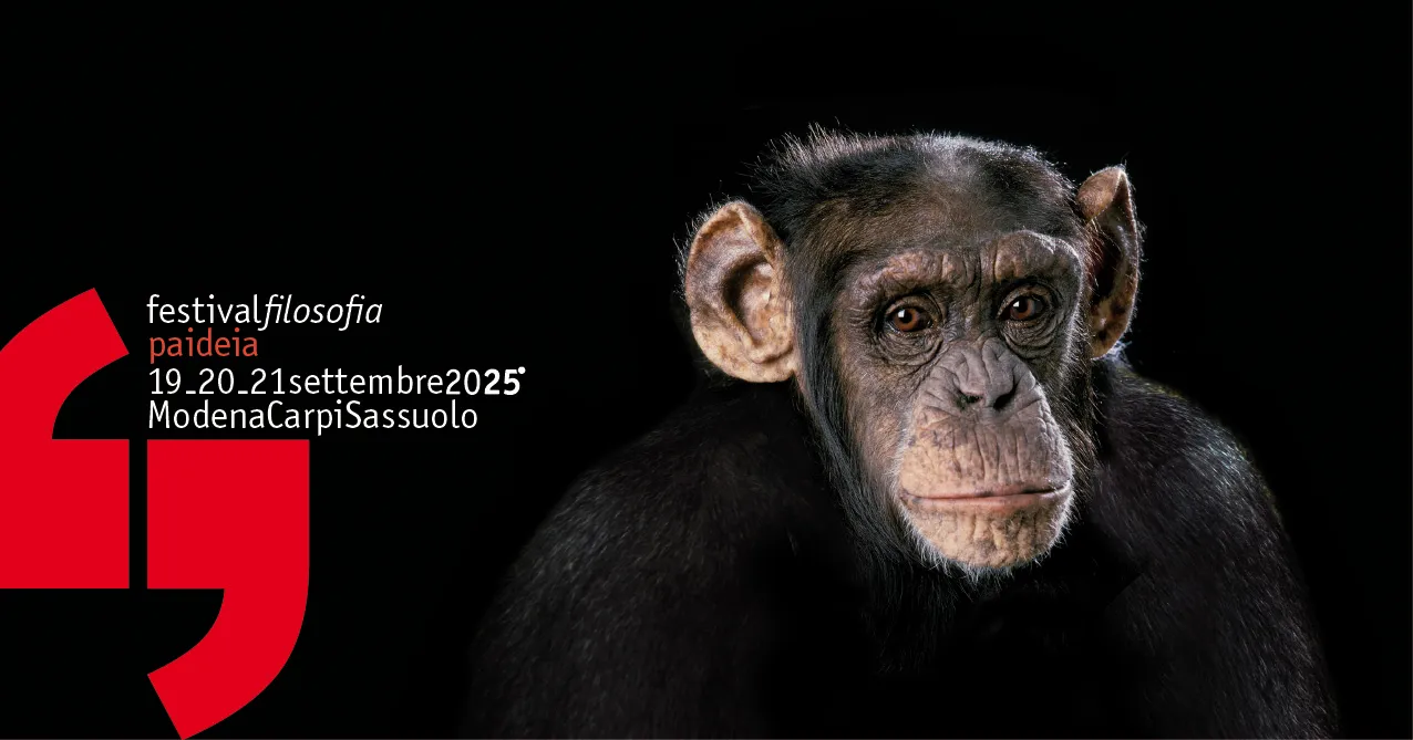 International street food festival carpi