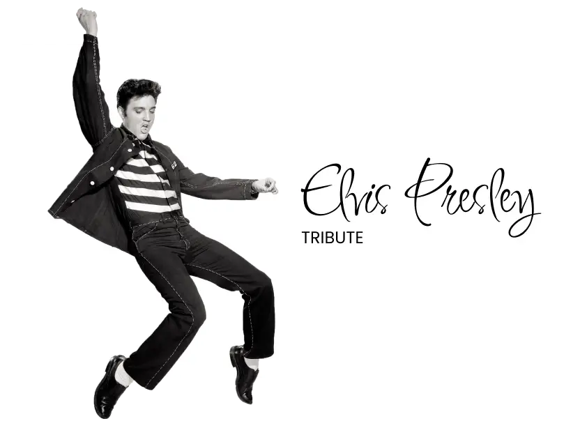 concerto-metallica-2026 International street food festival carpi